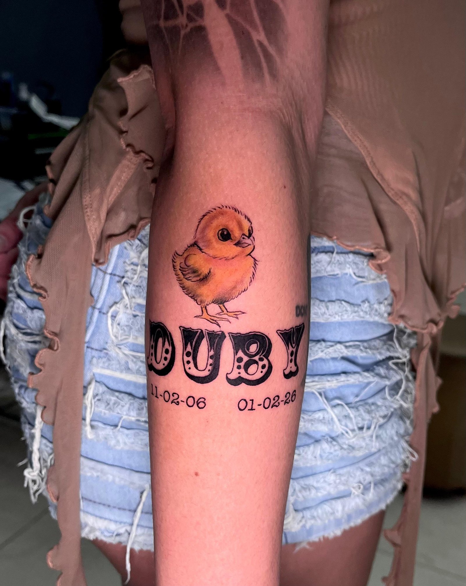 Color — Pollito — 