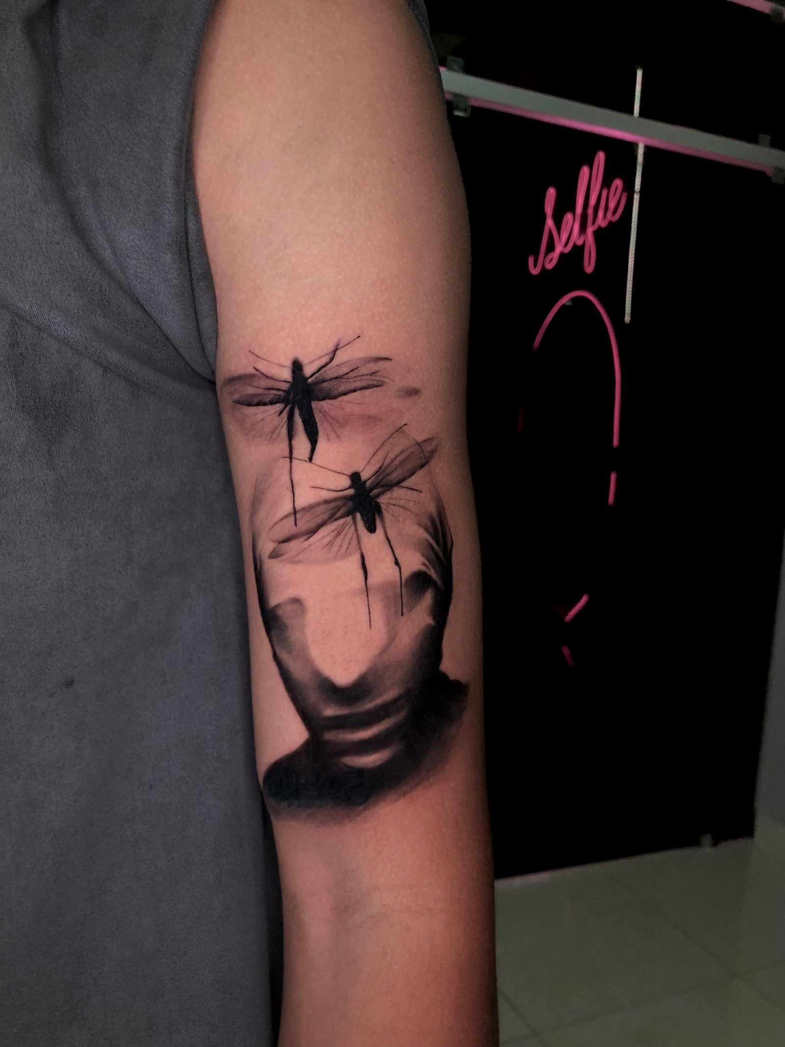 Libélulas — Sombras — 